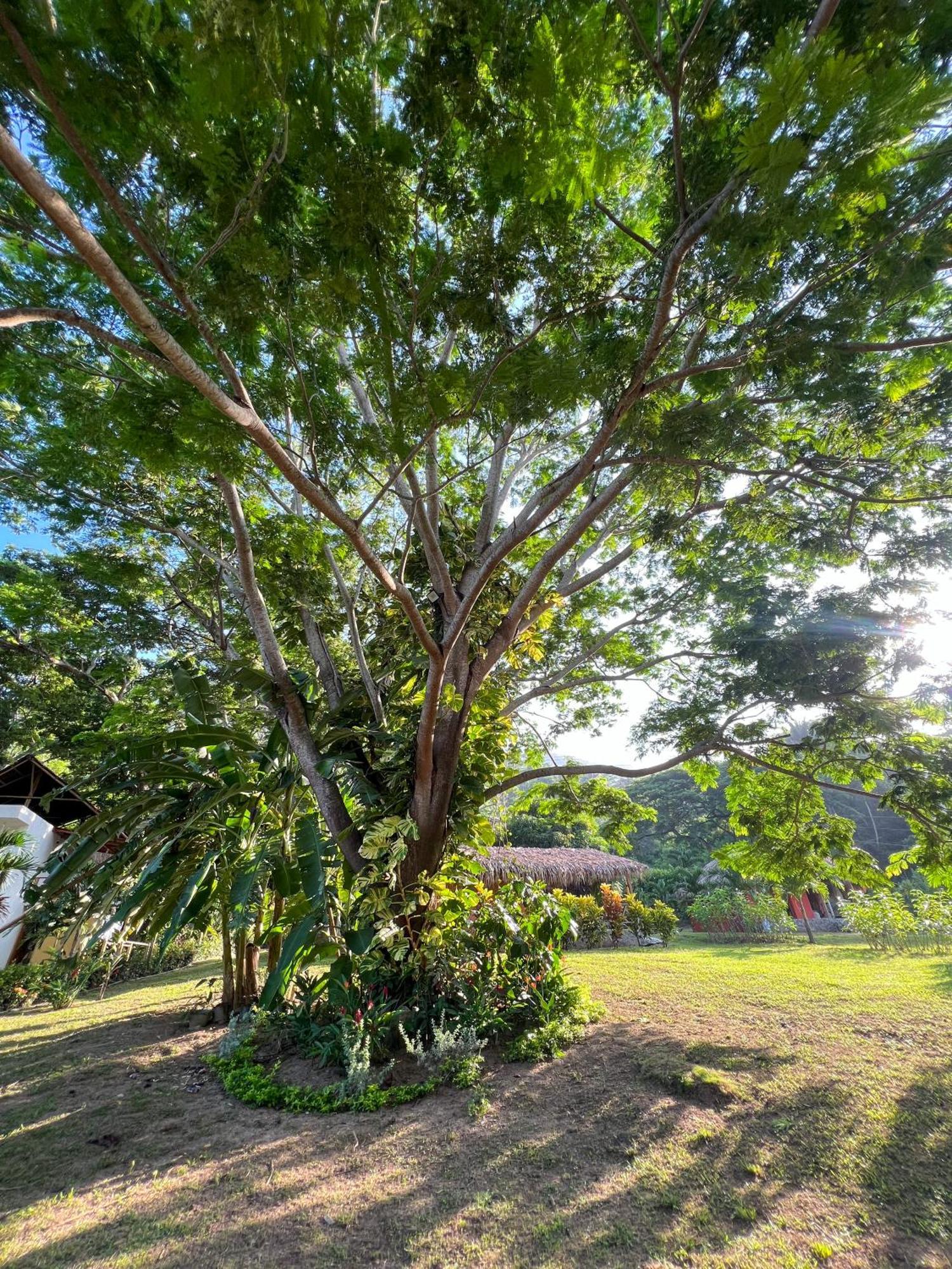 Tayrona Cachaco River Ecohostal El Zaino Ngoại thất bức ảnh