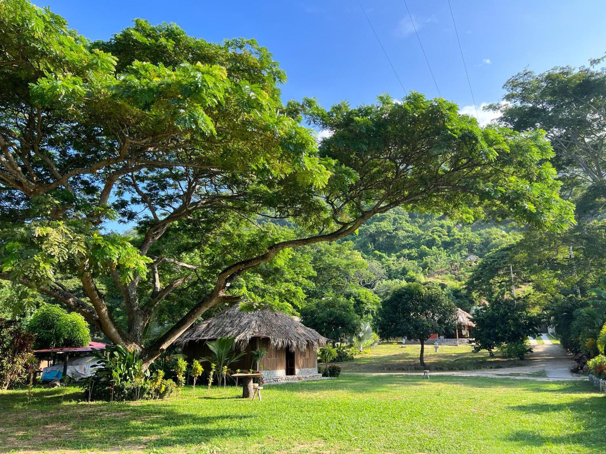 Tayrona Cachaco River Ecohostal El Zaino Ngoại thất bức ảnh